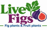 livefigs.com